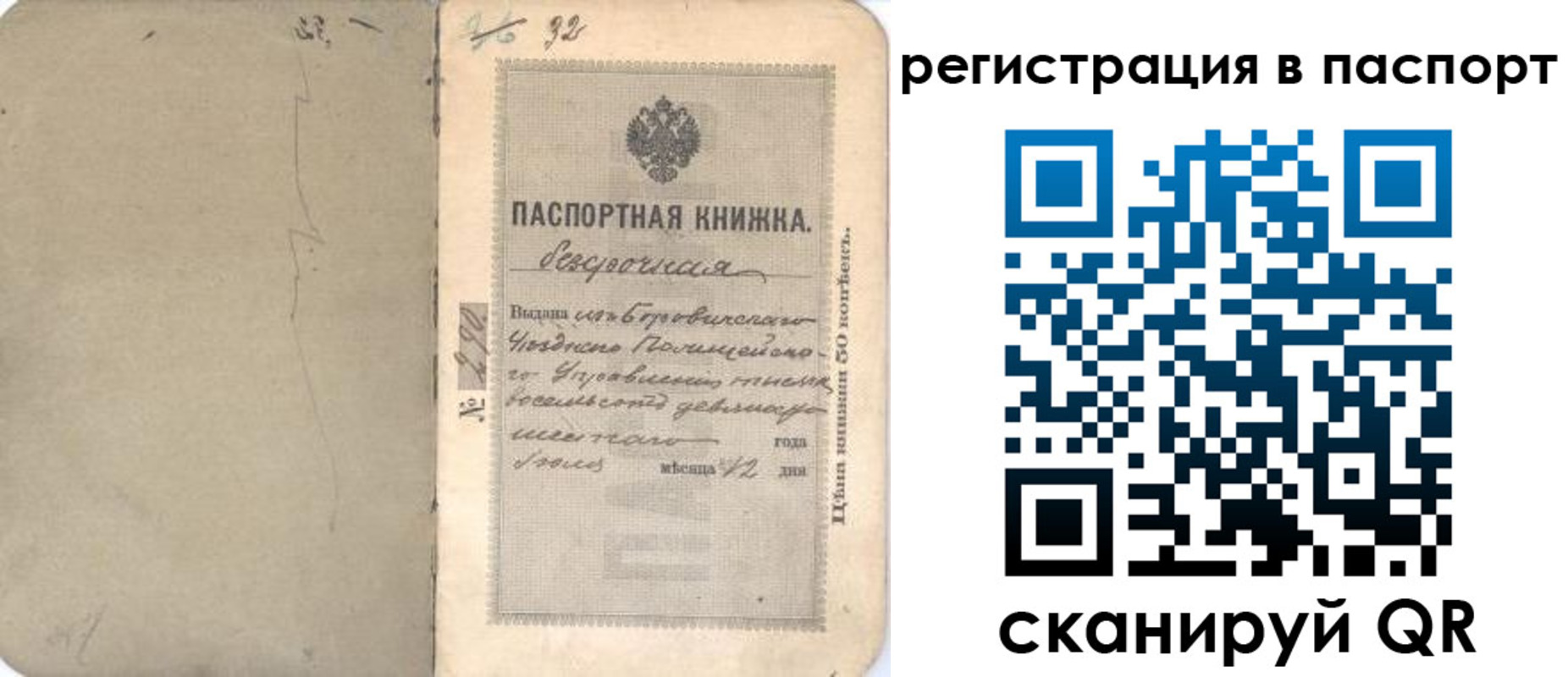 прописка гарантия в Ногинске